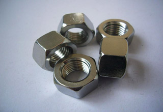 Stainless Steel Hex Nuts M20